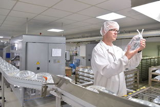 探尋松江食品廠與日用雜品的分布指南